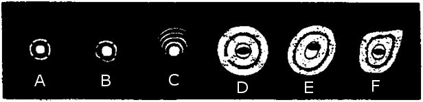 teleskop - regulacja układu optycznego czyli kolimacja Newtona